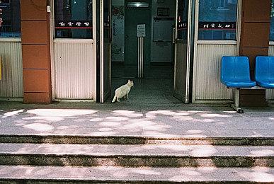 动作FPS《Neon White》Xbox版成就泄露 或即将发售